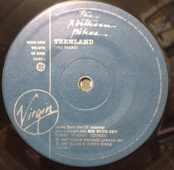 The Northern Pikes - Teenland