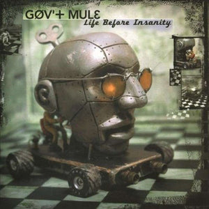 Gov't Mule - Life Before Insanity - 2013