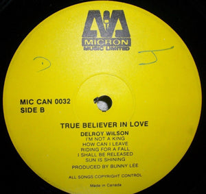Delroy Wilson - True Believer In Love - 1979