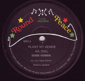 Mr.Cool (3) - Plant My Sensie