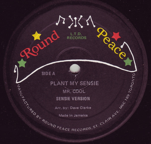 Mr.Cool (3) - Plant My Sensie