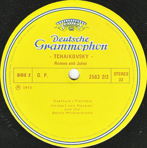 Pyotr Ilyich Tchaikovsky - A Joy Forever Special Limited Edition 2