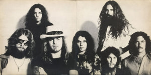 Lynyrd Skynyrd - Street Survivors