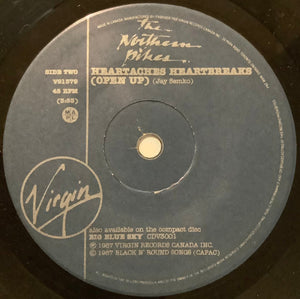 The Northern Pikes - Teenland