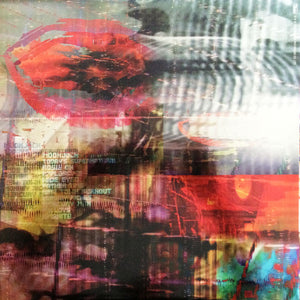 Animal Collective - Centipede Hz