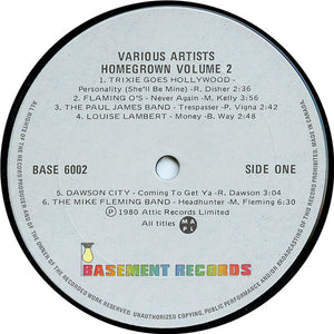 Various - Q107 Homegrown Volume II