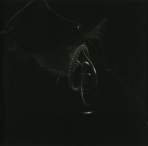 This Will Destroy You - Vespertine