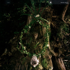 Pharmakon - Maggot Mass - 2024