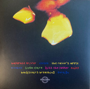 Fleshwater - We’re Not Here To Be Loved - 2023