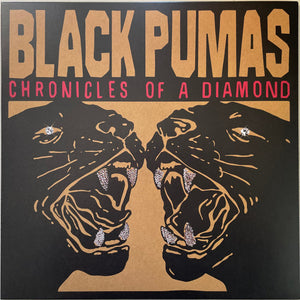 Black Pumas - Chronicles Of A Diamond - 2023