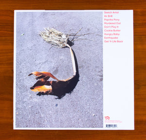 Kim Gordon - No Home Record