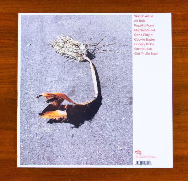 Kim Gordon - No Home Record