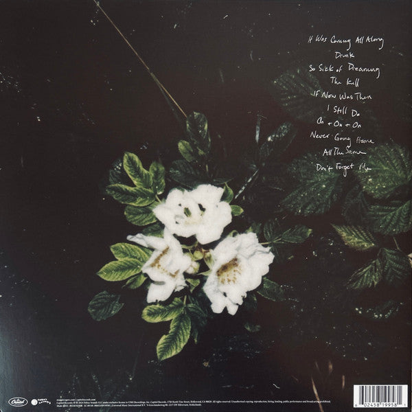 Maggie Rogers - Don't Forget Me Vinyl Record
