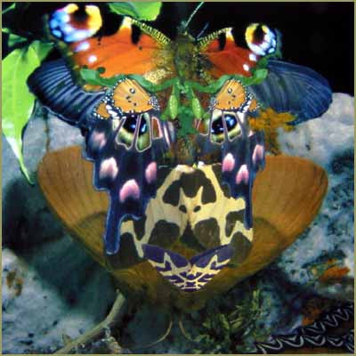 Diamantenräuber - Hitchhiker