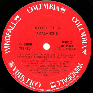 Mountain - Avalanche - Quarantunes