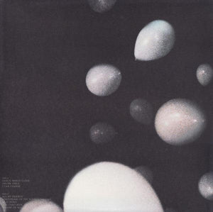 LCD Soundsystem - The Long Goodbye: LCD Soundsystem Live At Madison Square Garden 2014 - Quarantunes