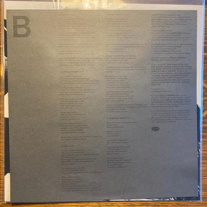 Andrew Bird - Inside Problems 2022 - Quarantunes