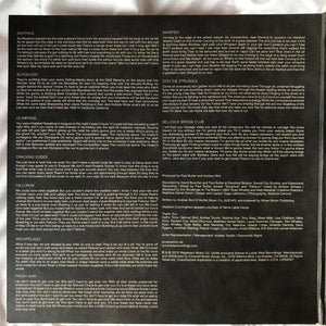 Andrew Bird - My Finest Work Yet 2019 - Quarantunes