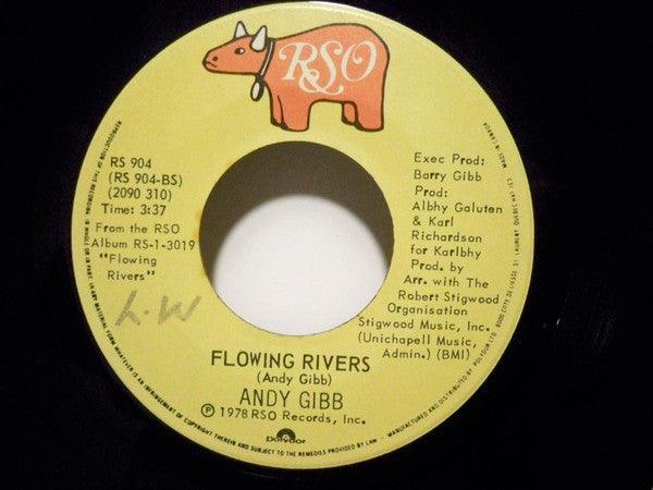 Andy Gibb - An Everlasting Love 1978 - Quarantunes