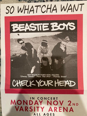 Beastie Boys - Check Your Head - Quarantunes
