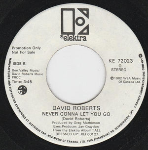 David Roberts - All In The Name Of Love / Never Gonna Let You Go - 1982 - Quarantunes