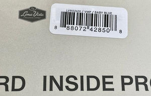 Andrew Bird - Inside Problems - 2022 - Quarantunes