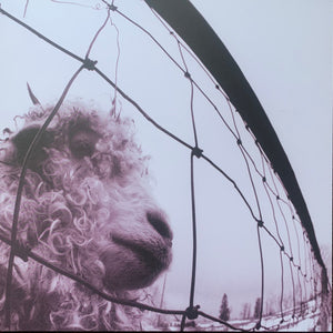 Pearl Jam - Vs.