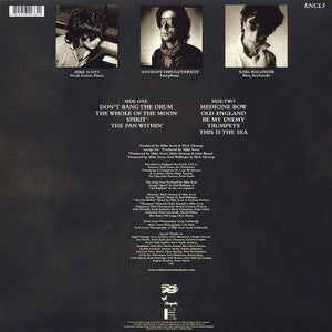 The Waterboys - This Is The Sea 2015 - Quarantunes