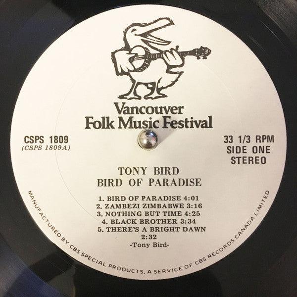 Tony Bird - Bird Of Paradise 1978 - Quarantunes