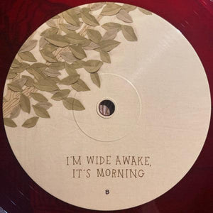 Bright Eyes - I'm Wide Awake, It's Morning - Quarantunes