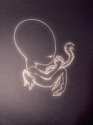 Sigur Rós - Ágætis Byrjun - Quarantunes