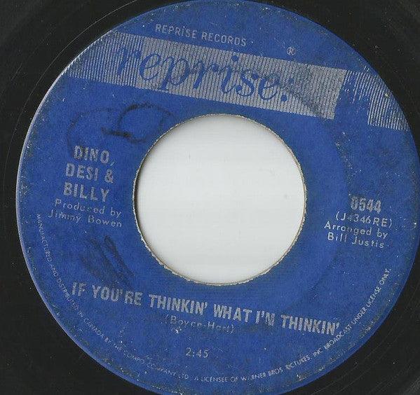 Dino, Desi & Billy - If You're Thinkin' What I'm Thinkin' / Pretty Flamingo 1966 - Quarantunes