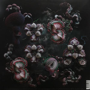 Björk - Fossora 2022 - Quarantunes