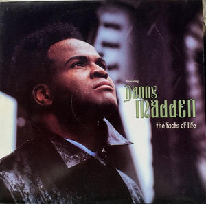 Danny Madden - The Facts Of Life (12") 1990 - Quarantunes