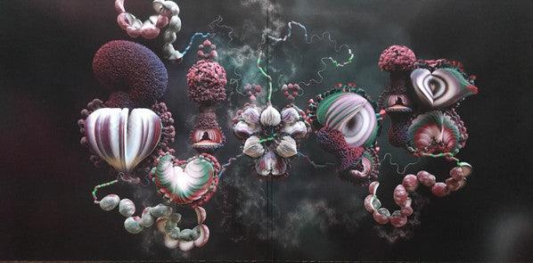 Björk - Fossora 2022 - Quarantunes