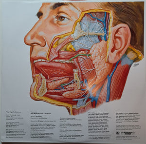 They Might Be Giants - Glean