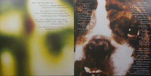 Dinosaur Jr. - Hand It Over - 2019 - Quarantunes