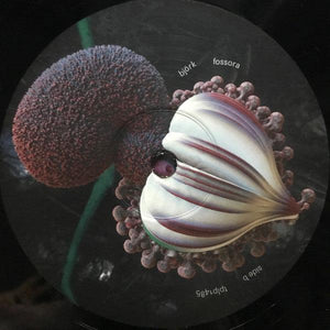 Björk - Fossora 2022 - Quarantunes