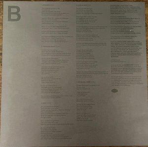 Andrew Bird - Inside Problems - 2022 - Quarantunes