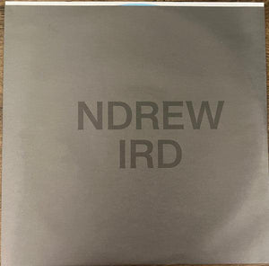 Andrew Bird - Inside Problems - 2022 - Quarantunes