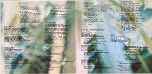 Beverly Glenn-Copeland - Beverly Glenn-Copeland - 2021 - Quarantunes