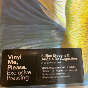 Sufjan Stevens - A Beginner's Mind - Quarantunes