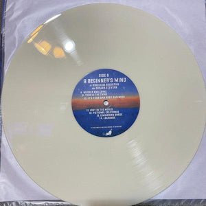 Sufjan Stevens - A Beginner's Mind - Quarantunes