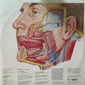 They Might Be Giants - Glean - 2015 - Quarantunes