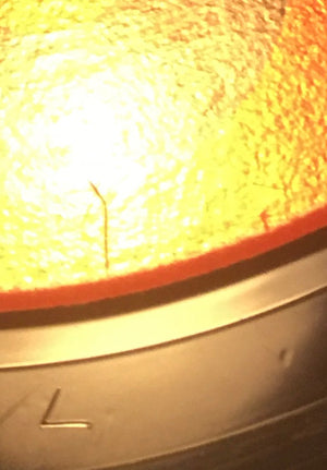 The Crazy World Of Arthur Brown - Fire