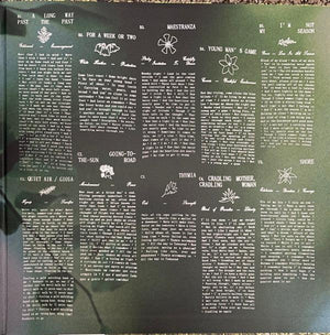 Fleet Foxes - Shore - 2021 - Quarantunes