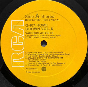 Various - Q-107 Homegrown Volume Six 1984 - Quarantunes