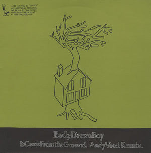 Badly Drawn Boy - It Came From The Ground