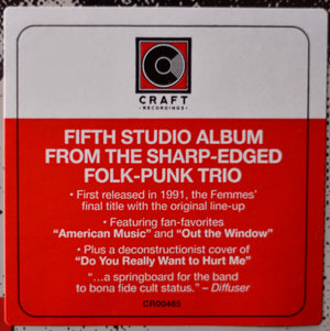 Violent Femmes - Why Do Birds Sing?