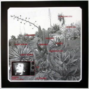 Cat Power - Moon Pix 2017 - Quarantunes